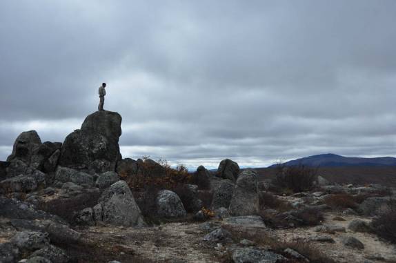 Observando as vastidões árticas no norte do Alaska, a caminho do Círculo Polar